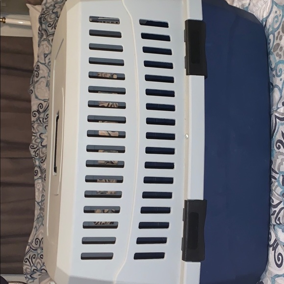 A small/medium dog - Picture 4 of 5